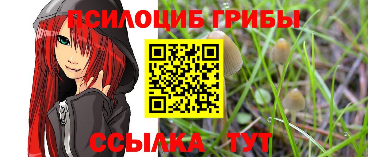 Псилоцибиновые грибы мухоморы Малгобек
