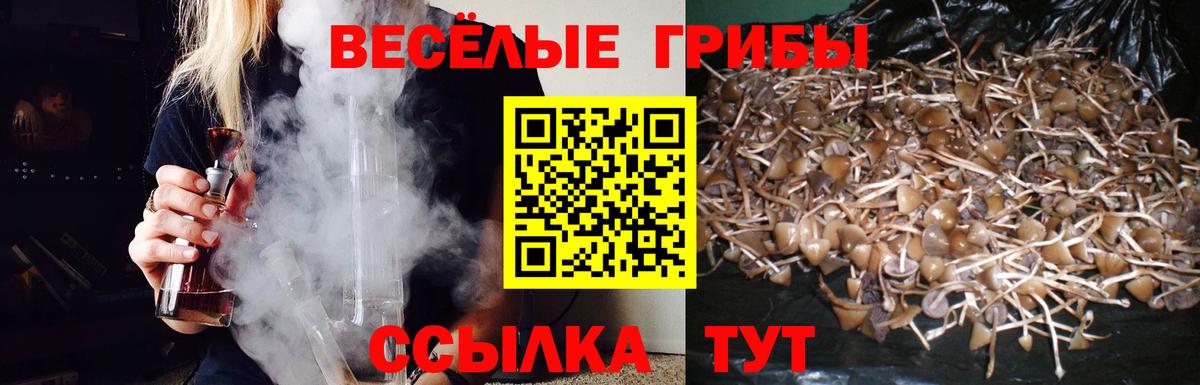 Псилоцибиновые грибы мухоморы  закладка  Вход с VPN  Малгобек  Псилоцибиновые грибы мухоморы 