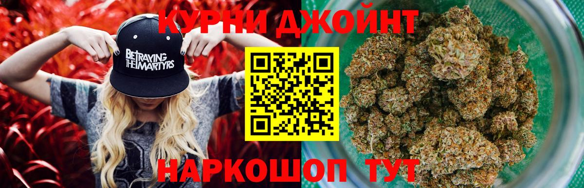 Конопля планчик  Конопля семена  Малгобек  Вход с VPN  Бошки марихуана THC 21% 